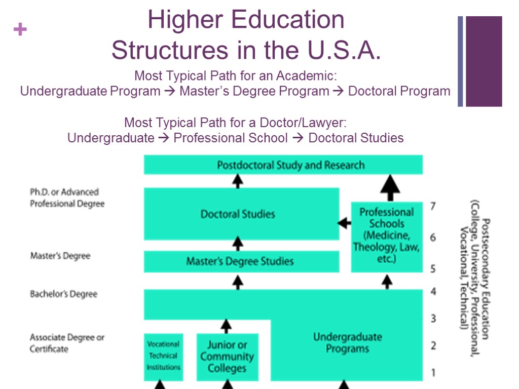 Higher Education Structures in the U.S.A. Most Typical Path for an Academic: Undergraduate Program